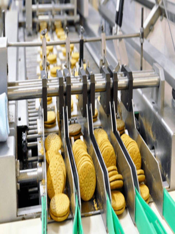 Food Processing Machinery 1