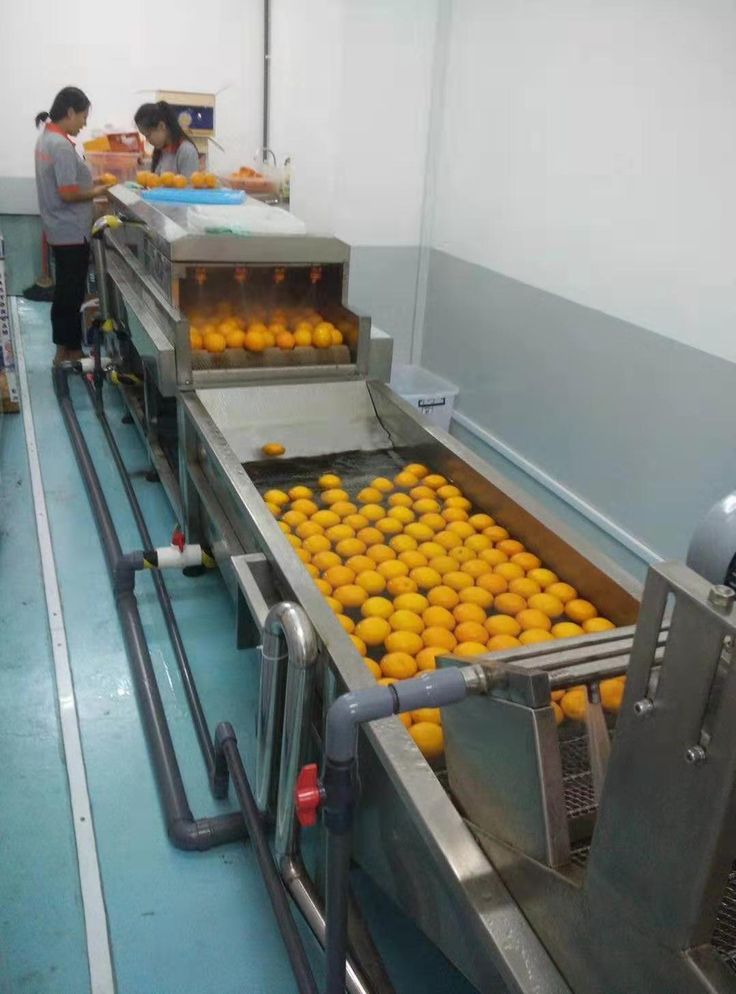Food Processing Machinery 3